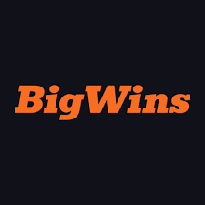 BigWins Online Casino: Gamer Rankings & Our Decision